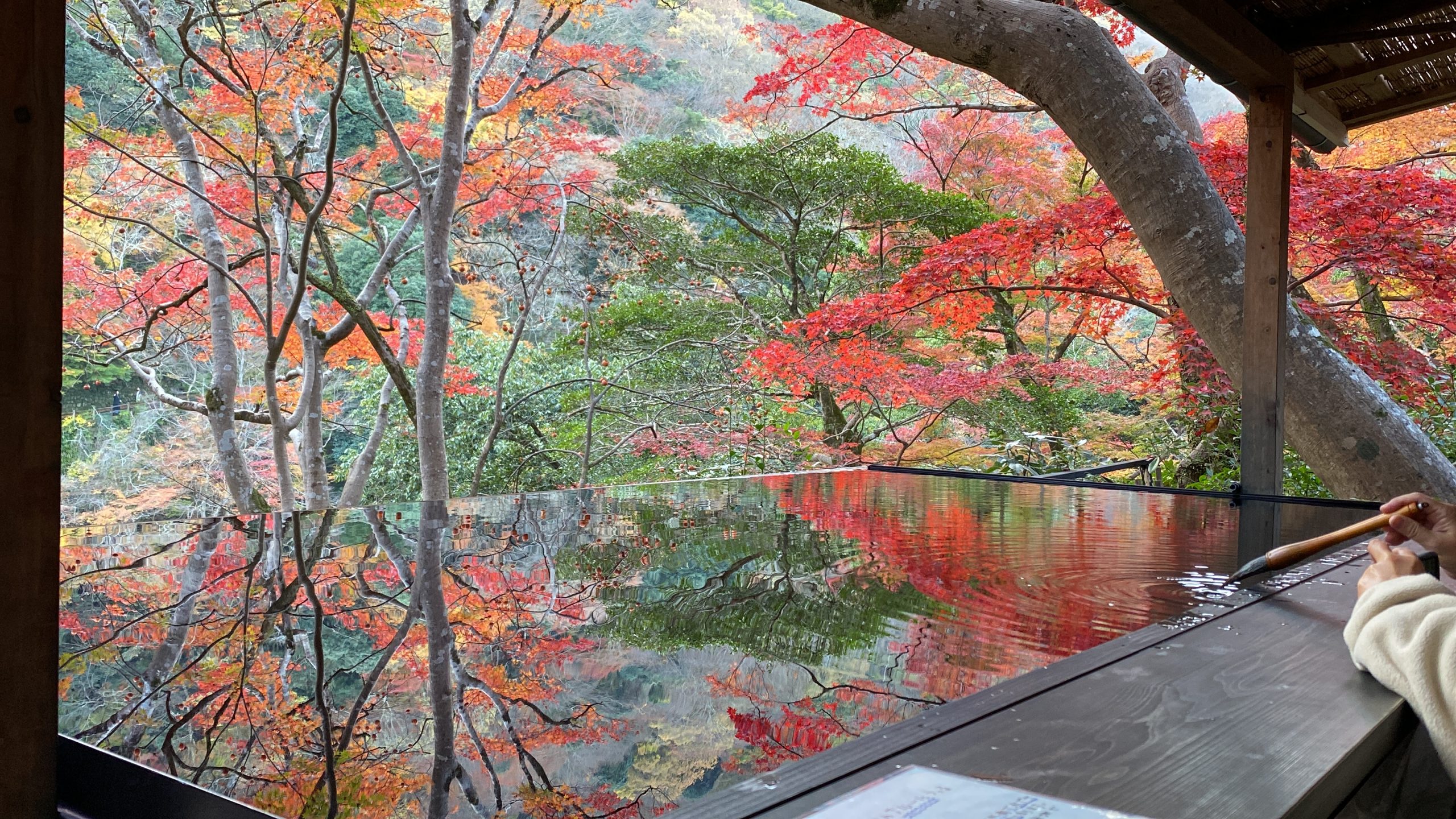 紅葉の波紋