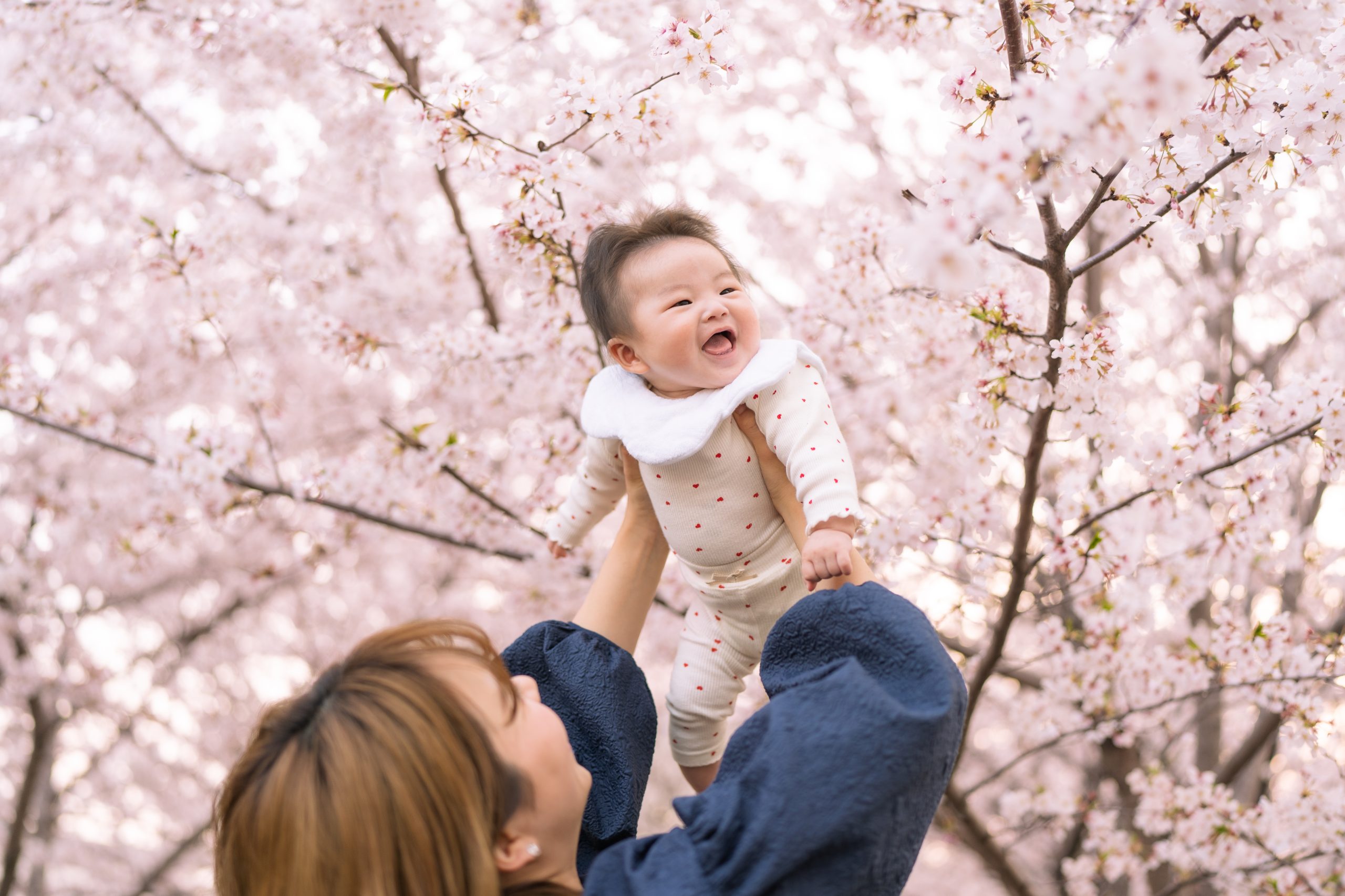 桜と娘