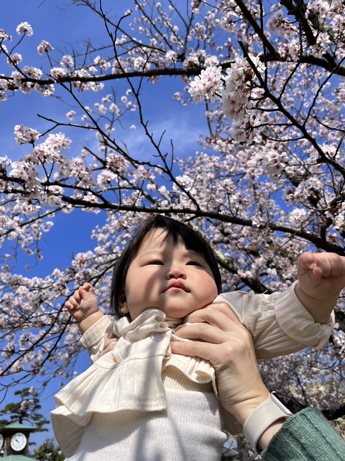 愛娘