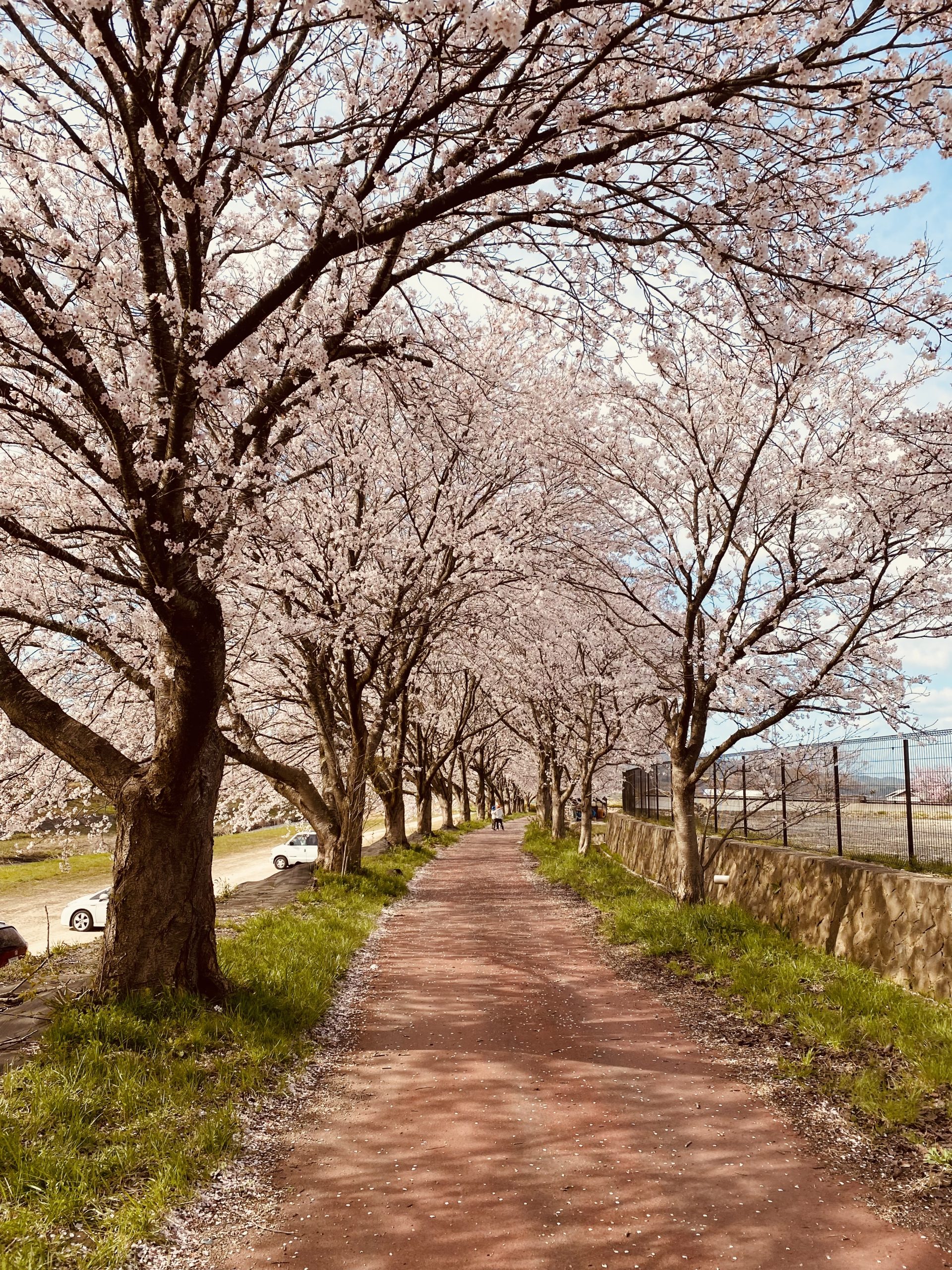 弥栄町