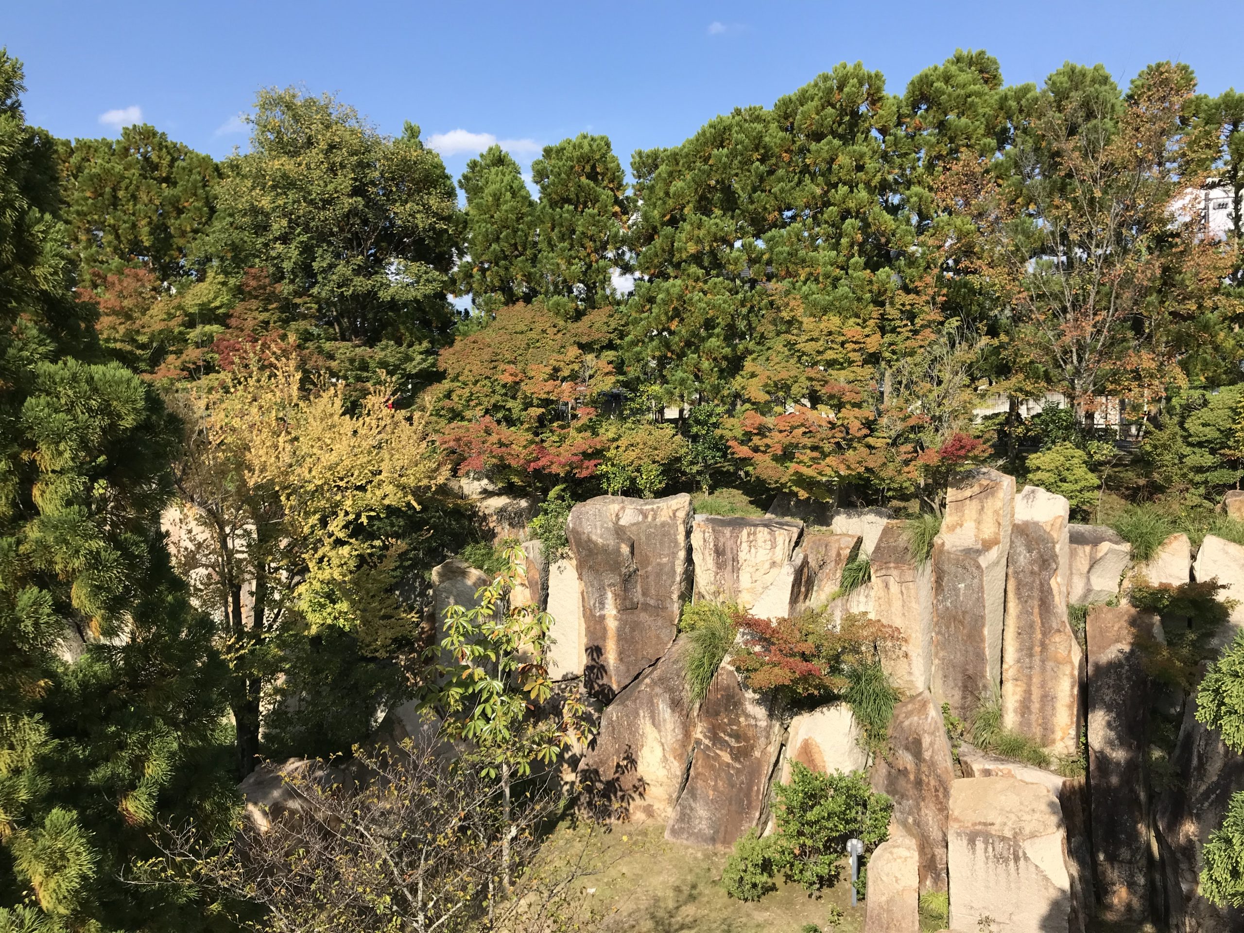 紅葉がきれい