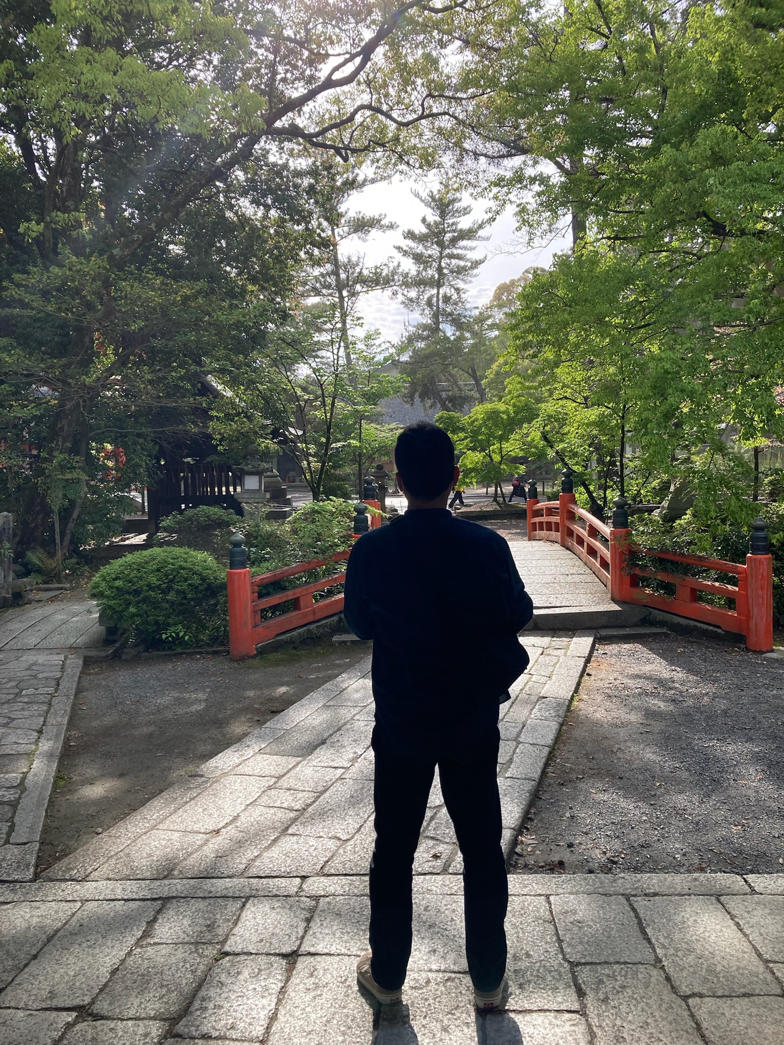 新緑と日差しを受けて