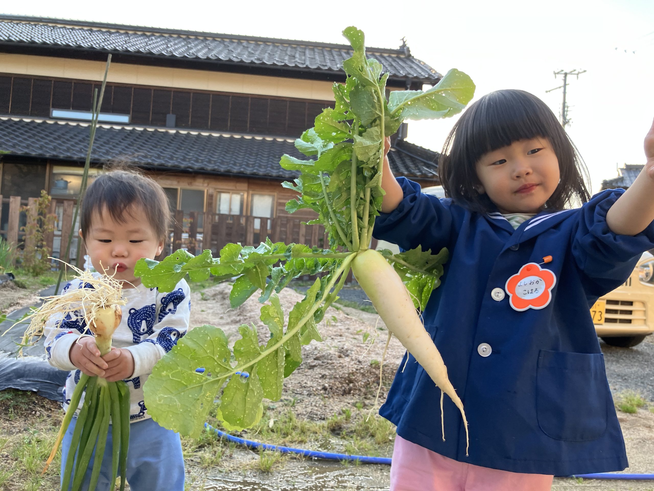 お野菜とれたよ！