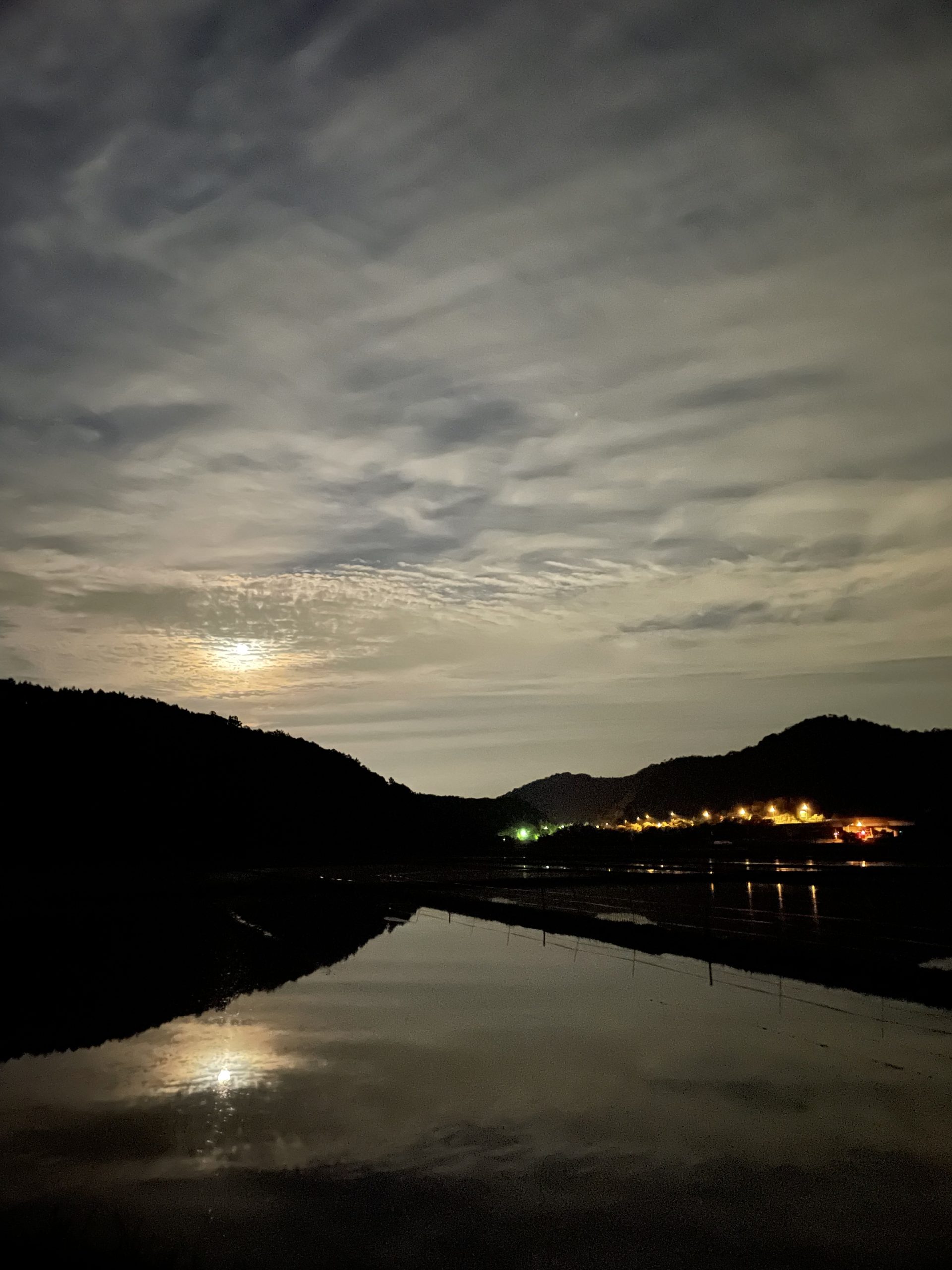 夜の田の幻想