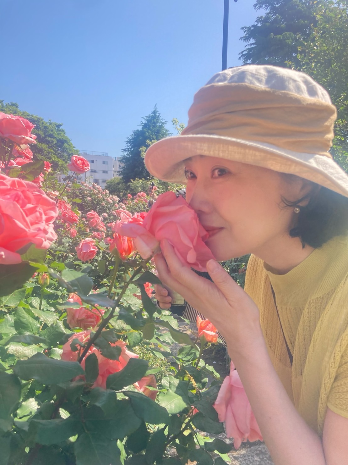 薔薇
