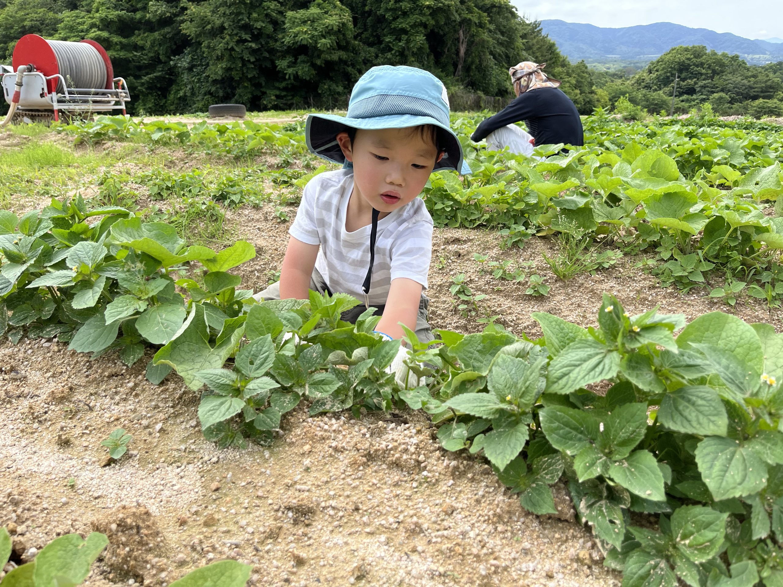 ぼくだって、できるよ！