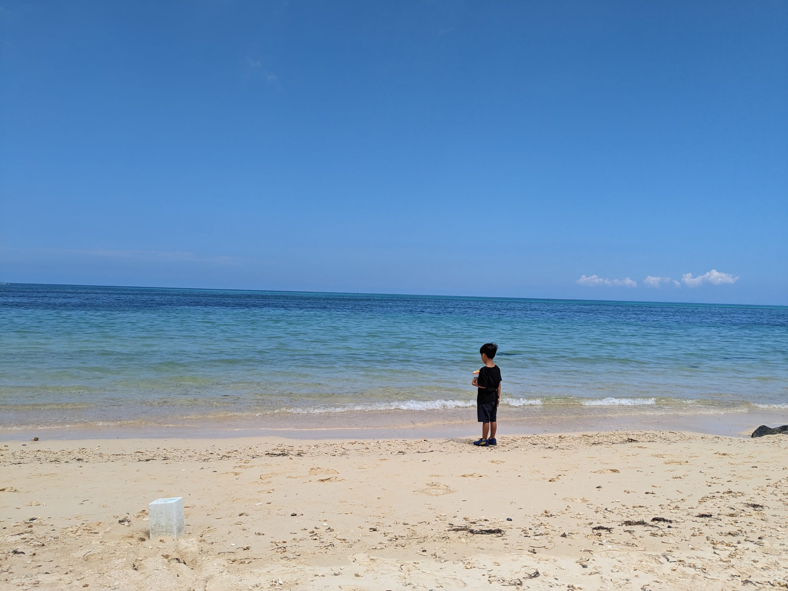 夏の海にサヨナラ