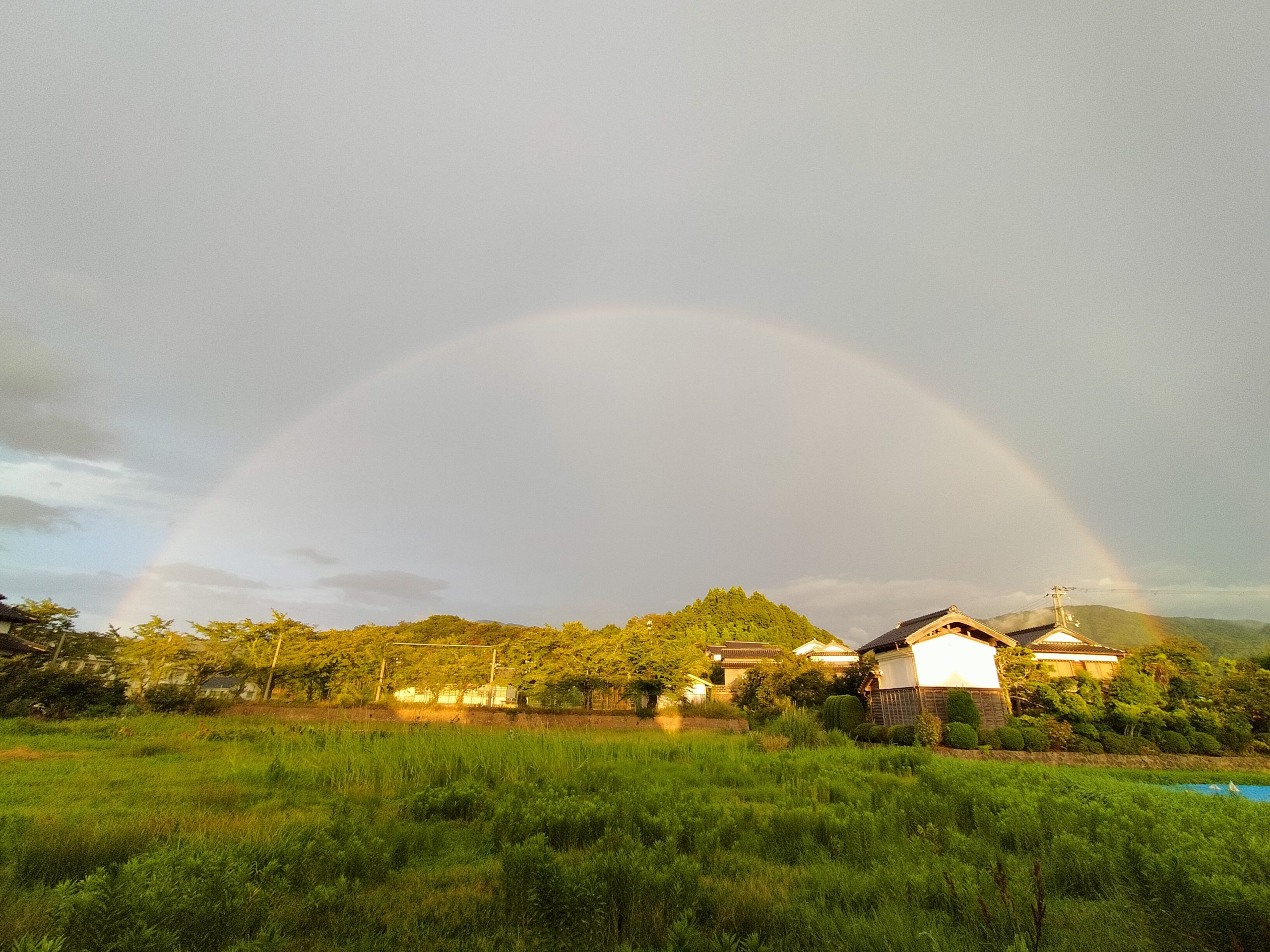 綺麗な半円