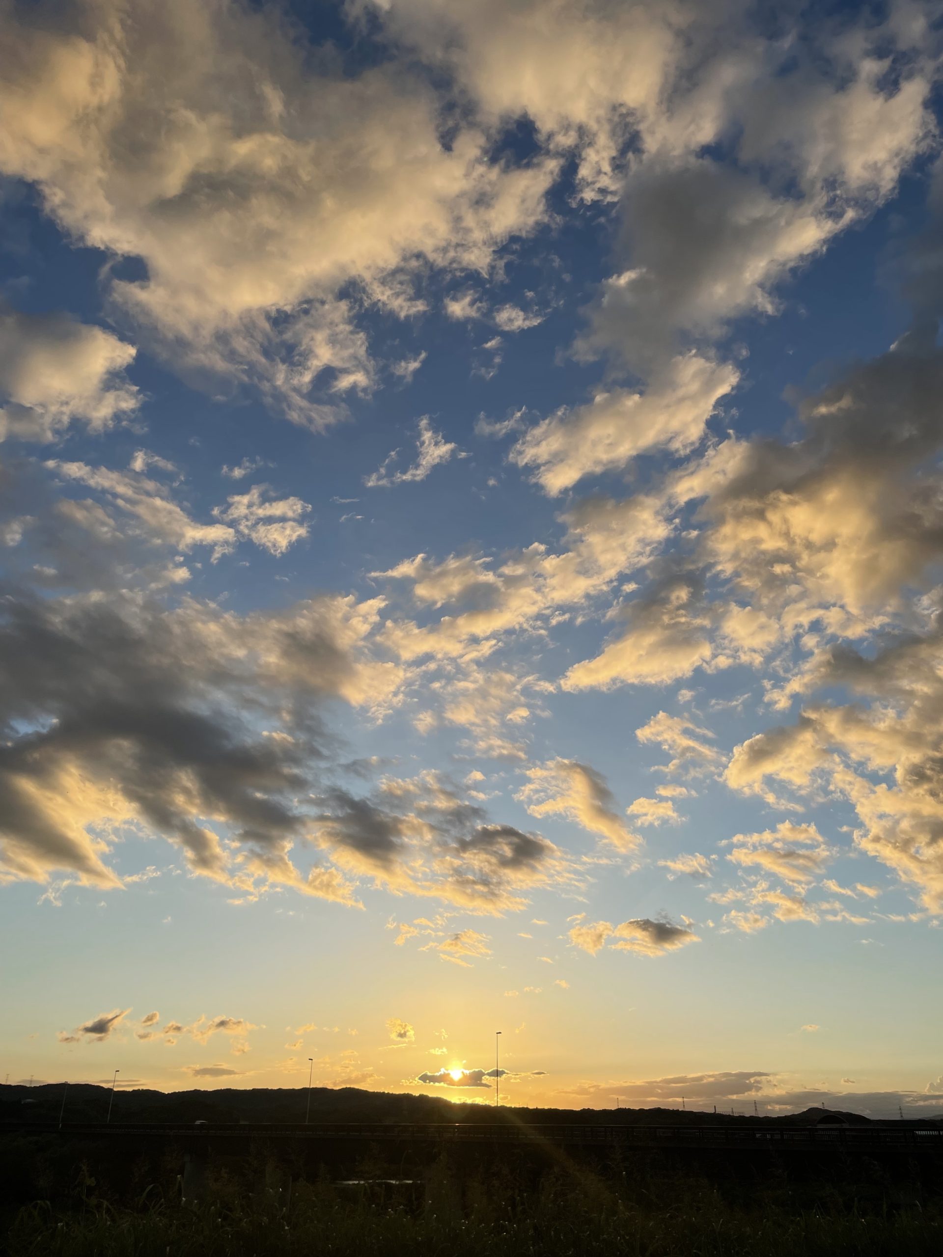 夏の夕方