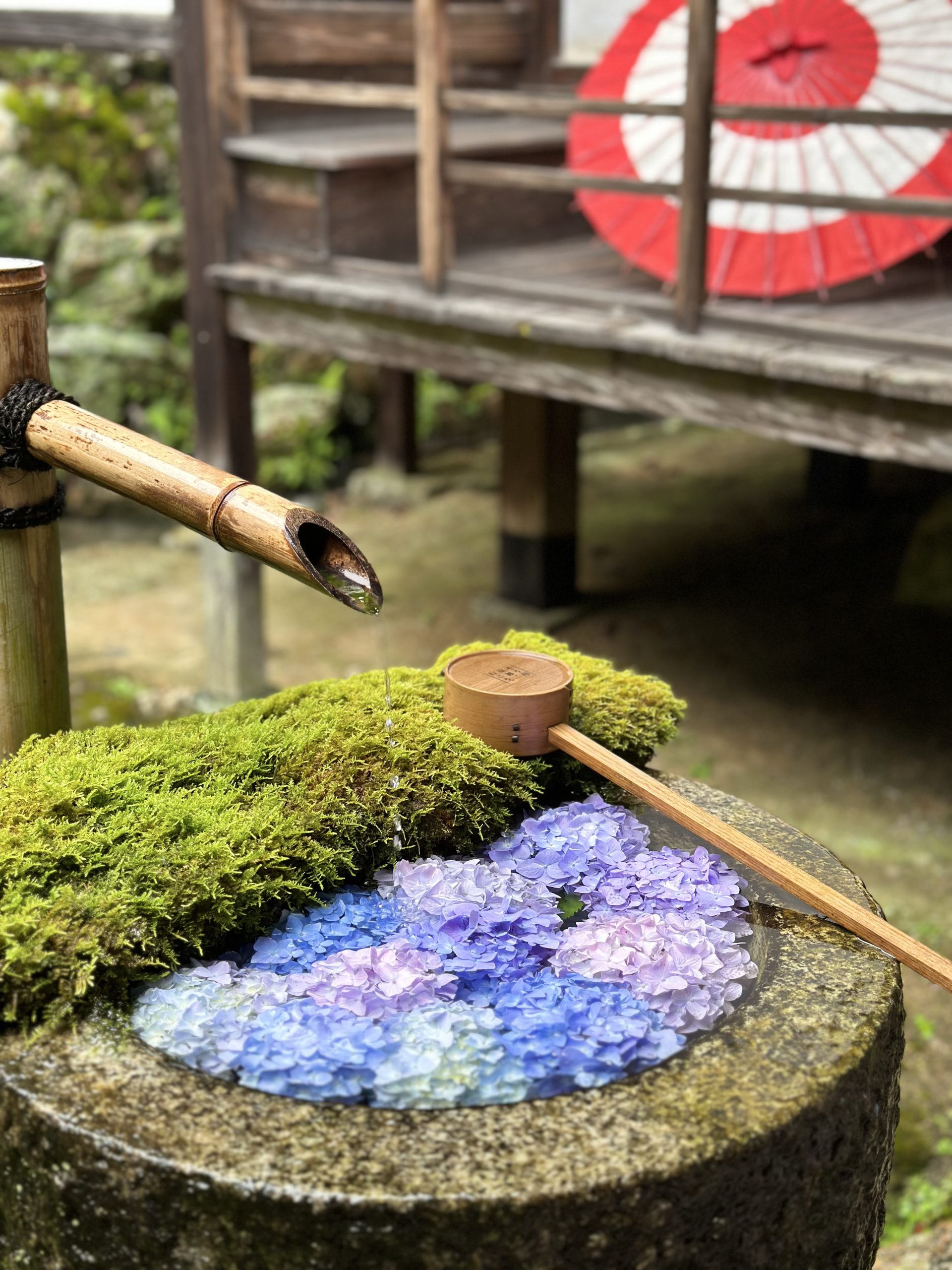 藍てまりのしらべ