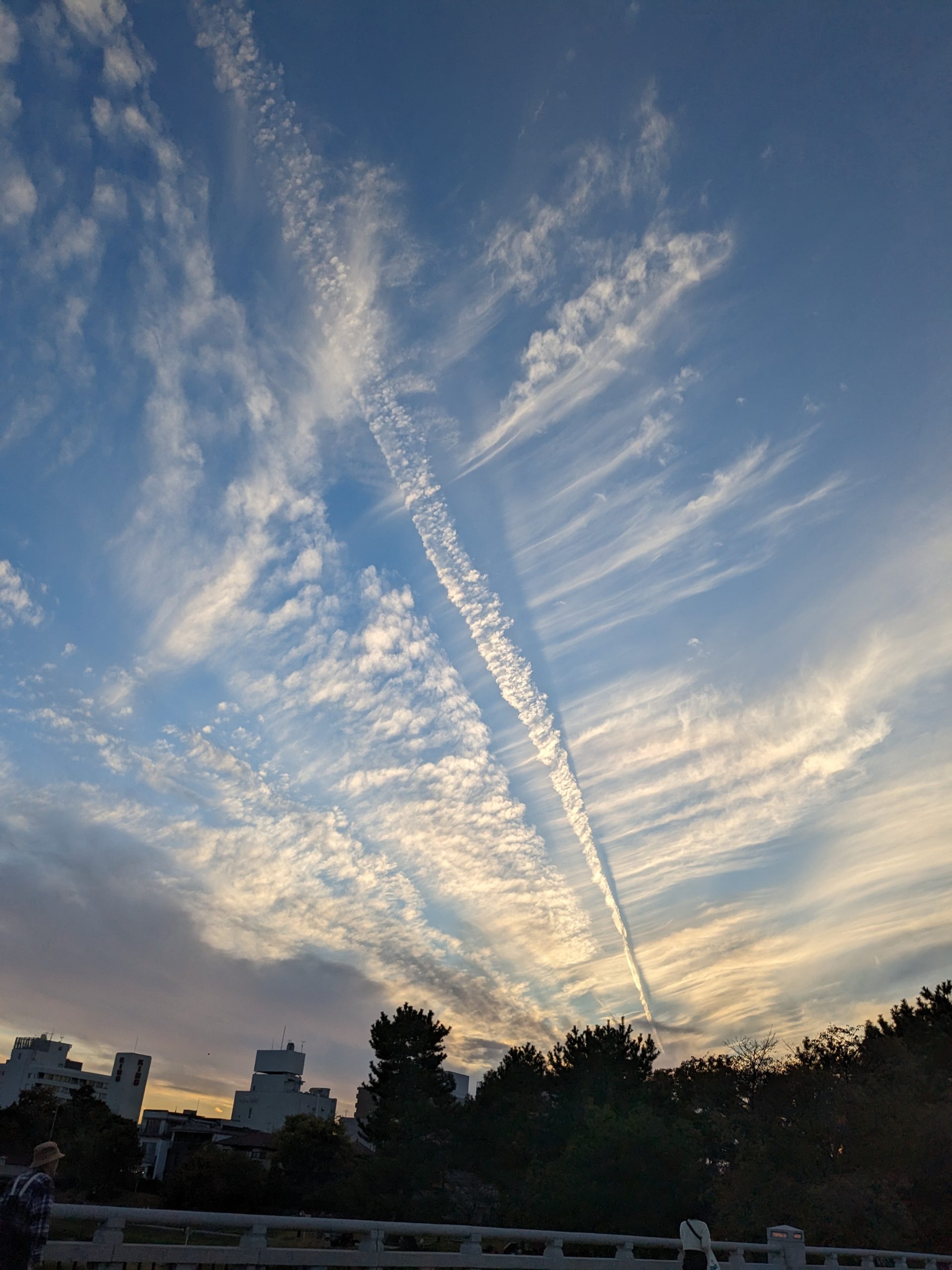 飛行機雲と秋の空