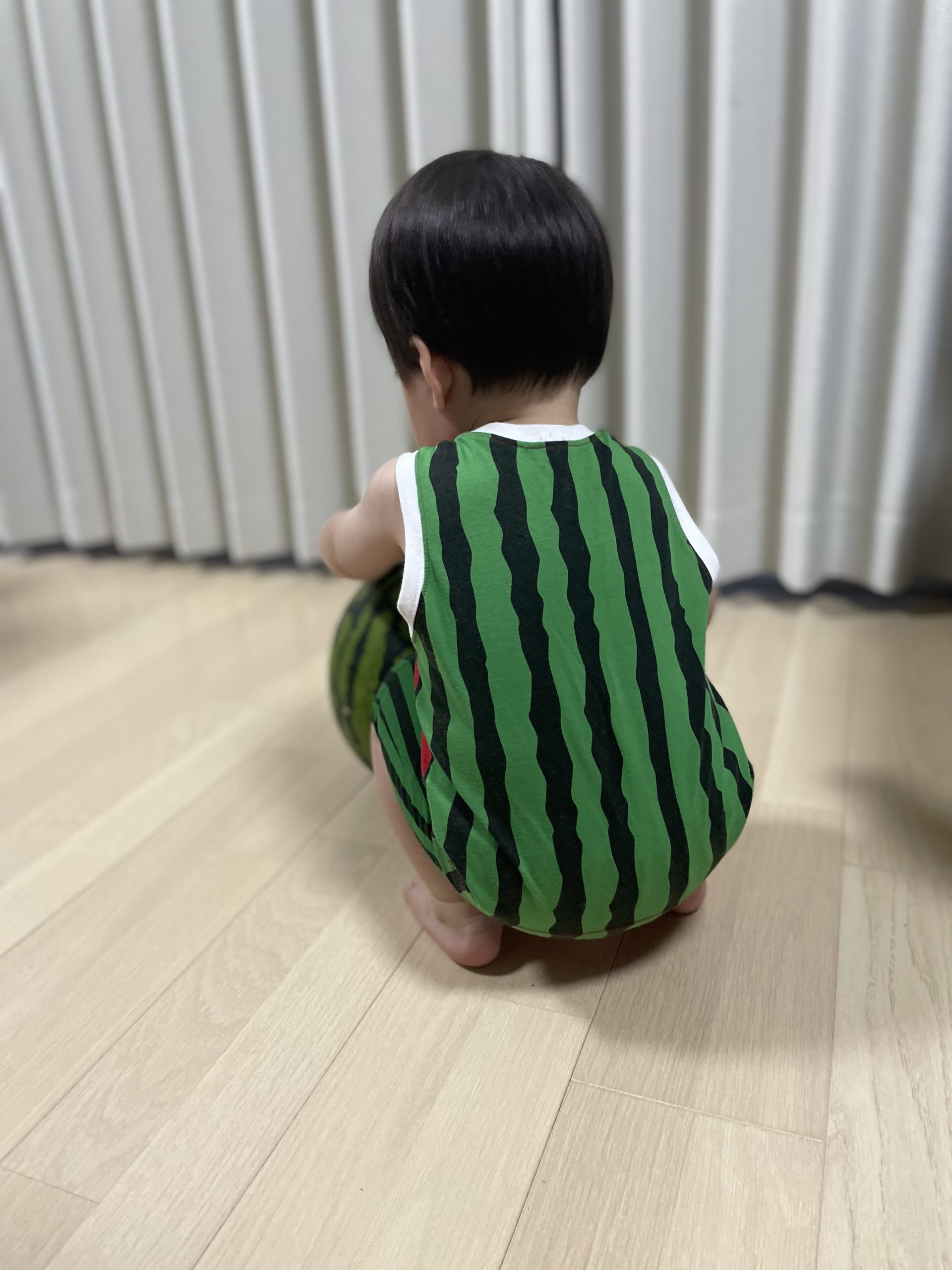 スイカに夢中