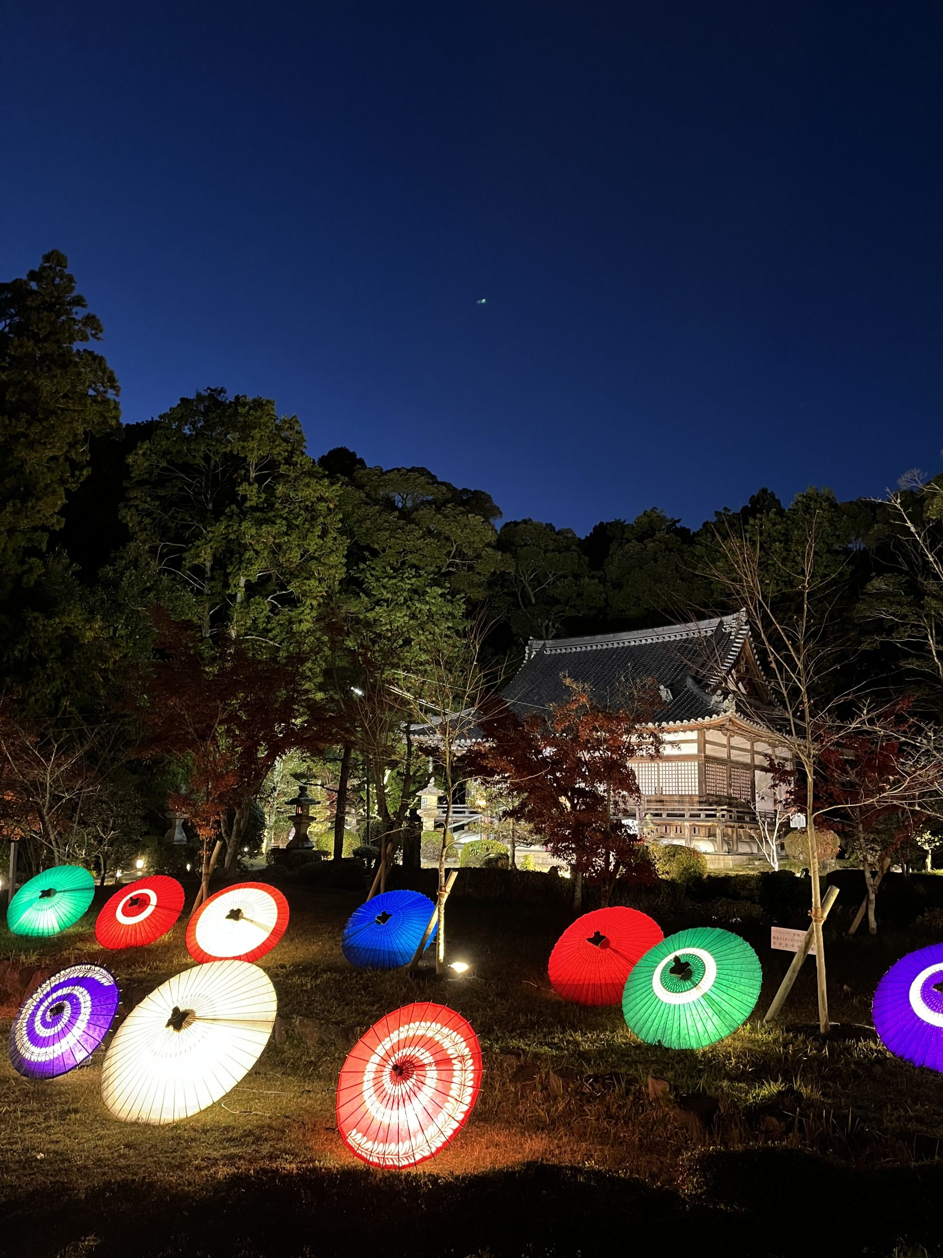 輝き比べ