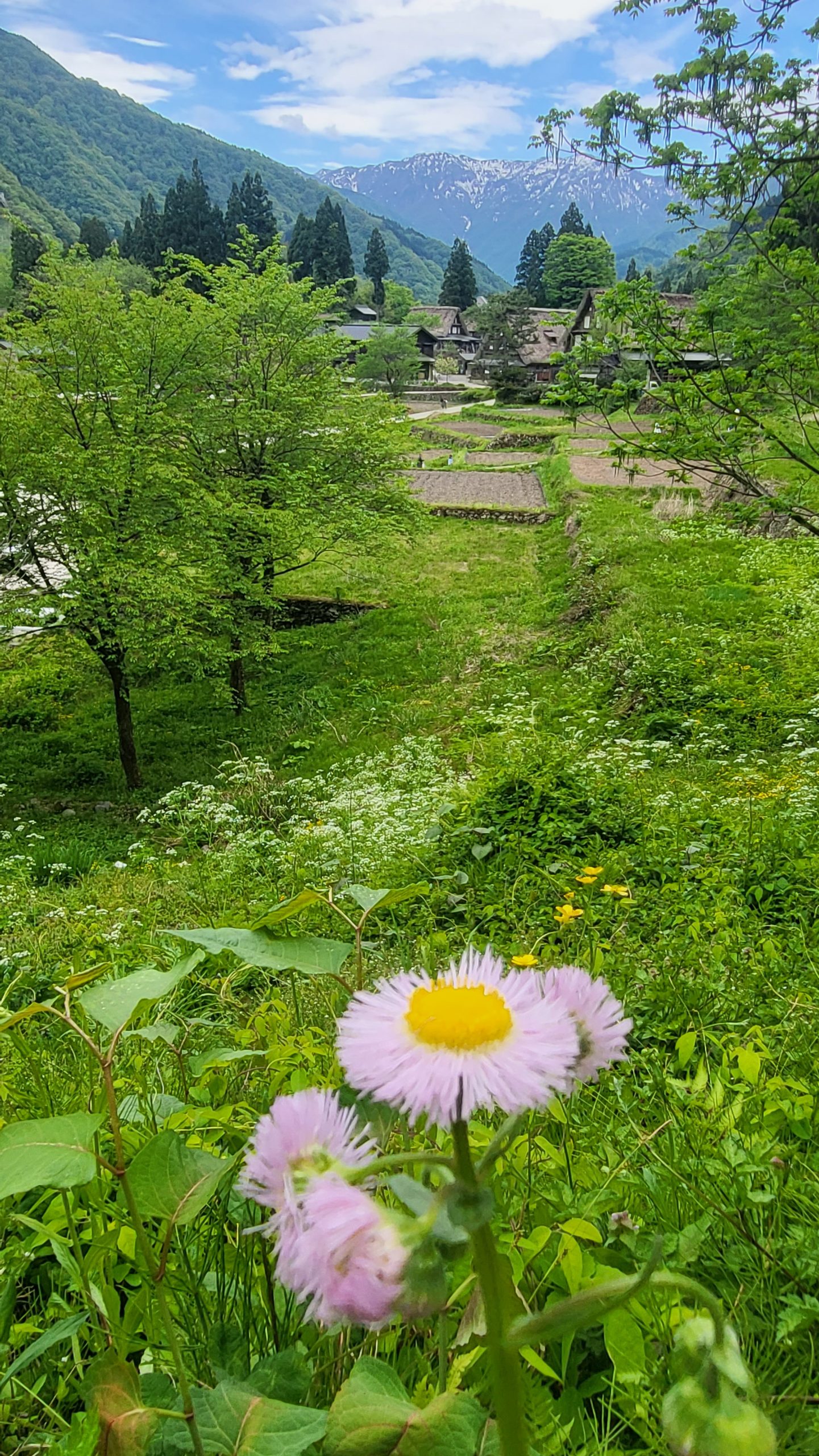 春の五箇山