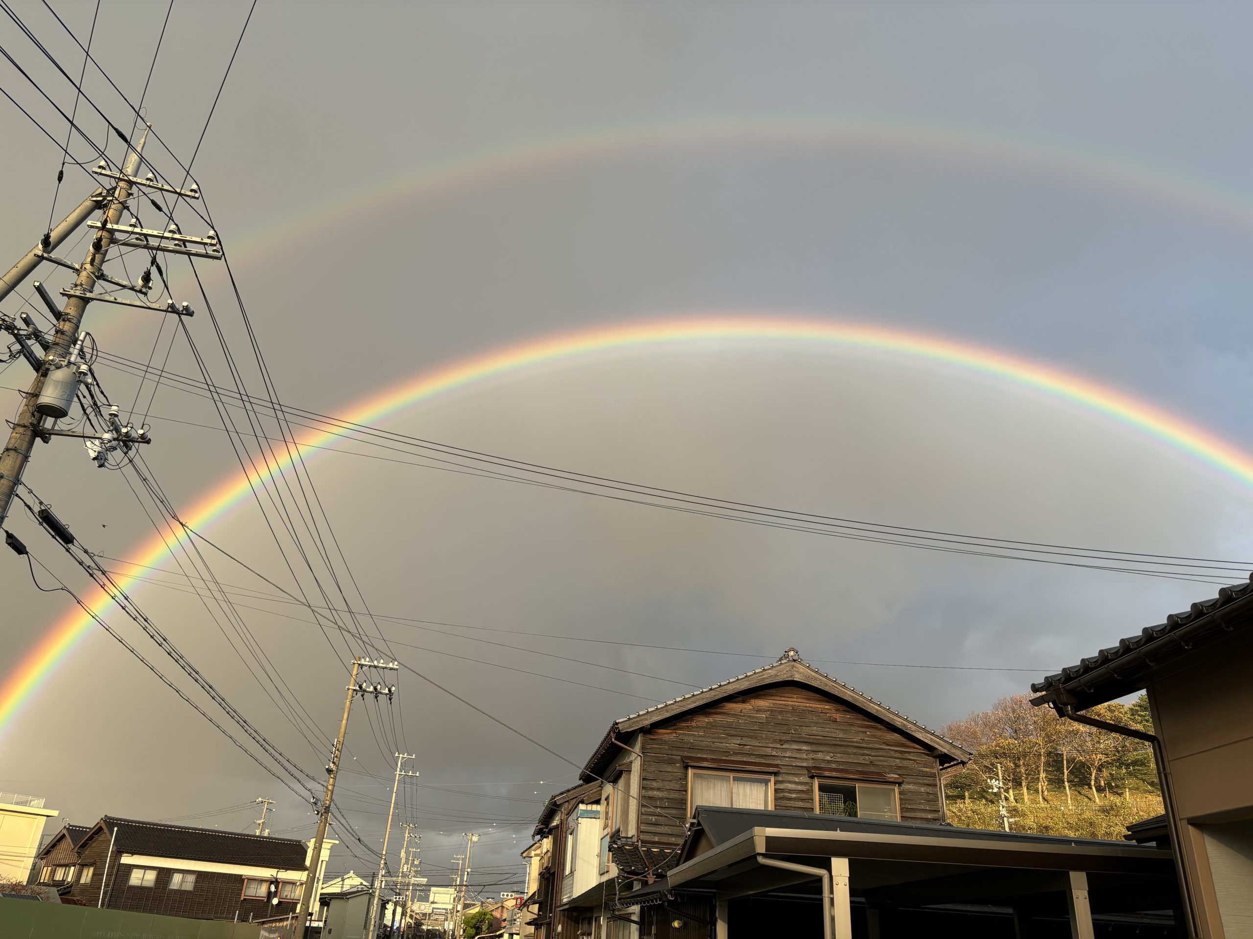 ちょっと外出て見てみ。