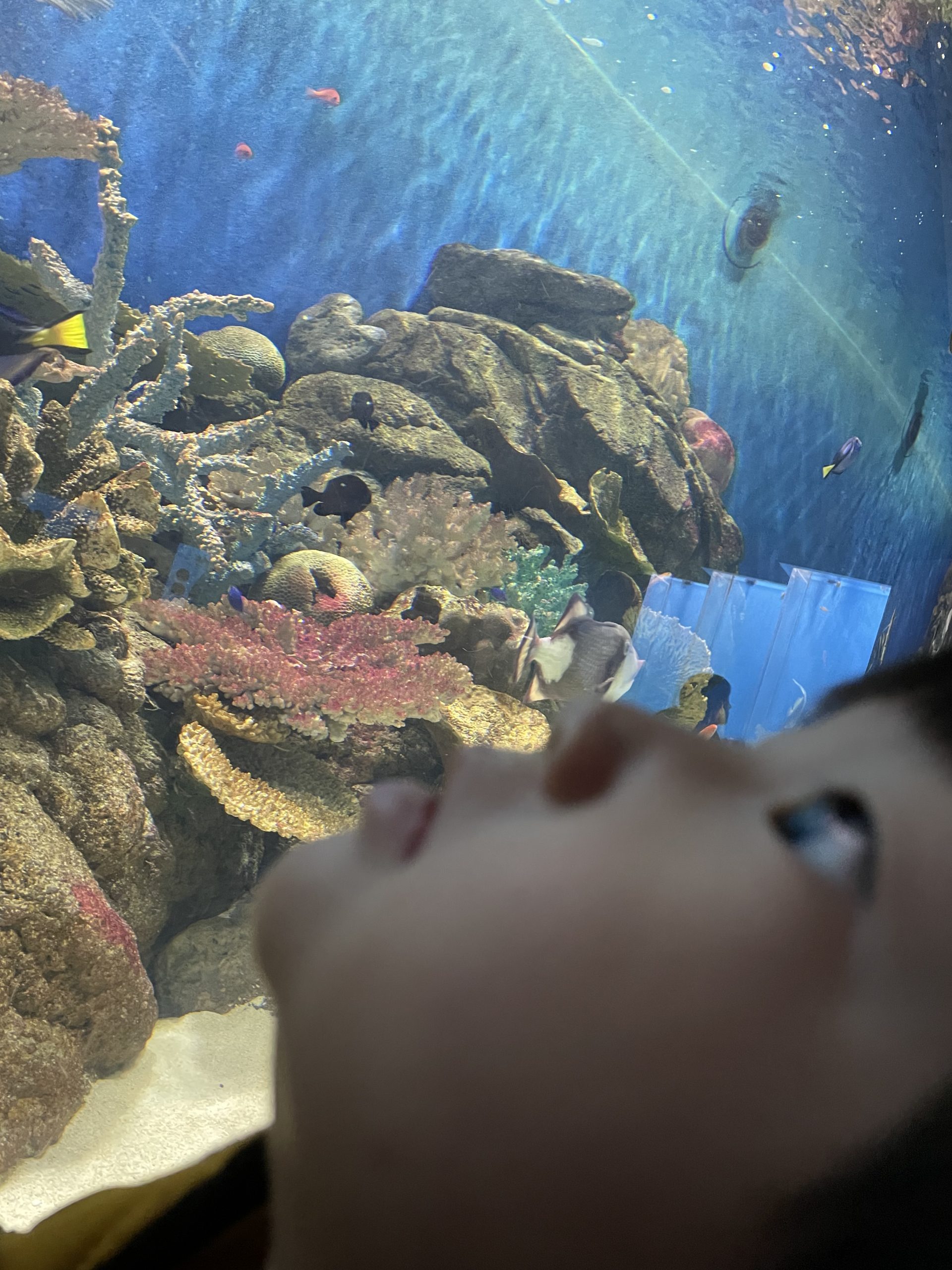 水族館