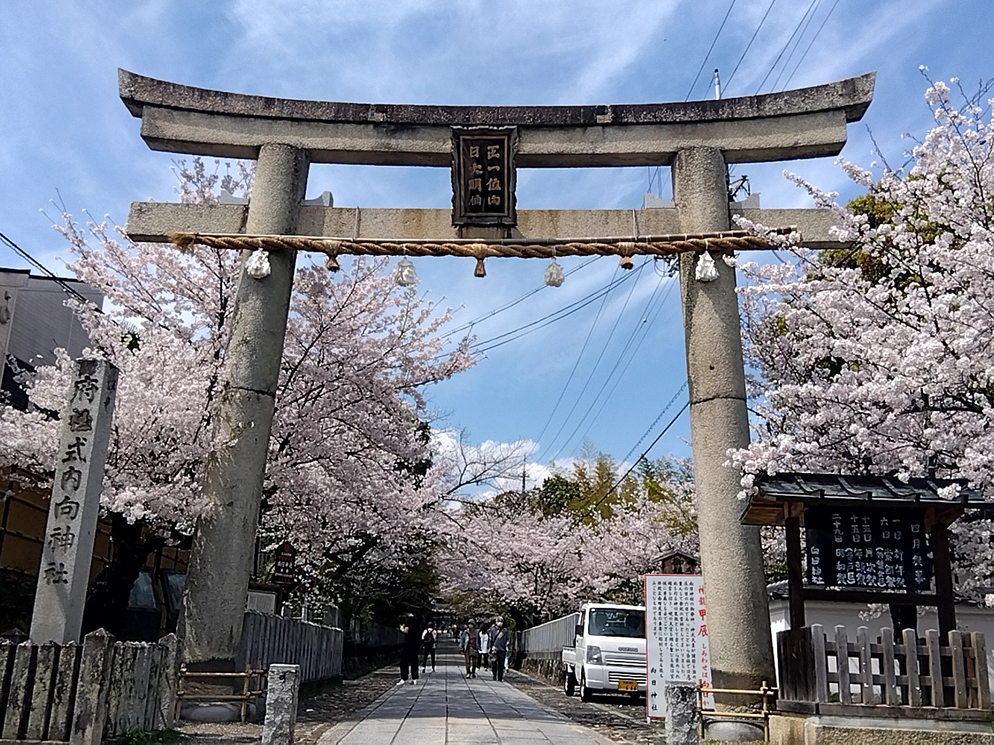 春の陽気に誘われて