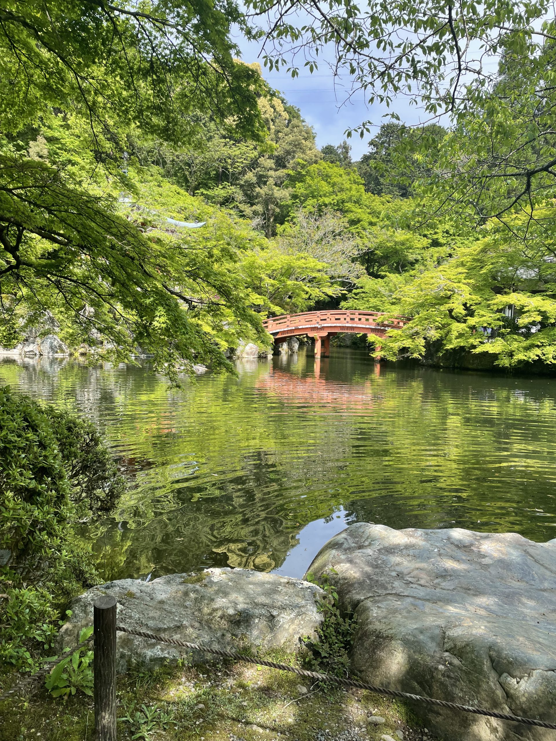 醍醐寺にて
