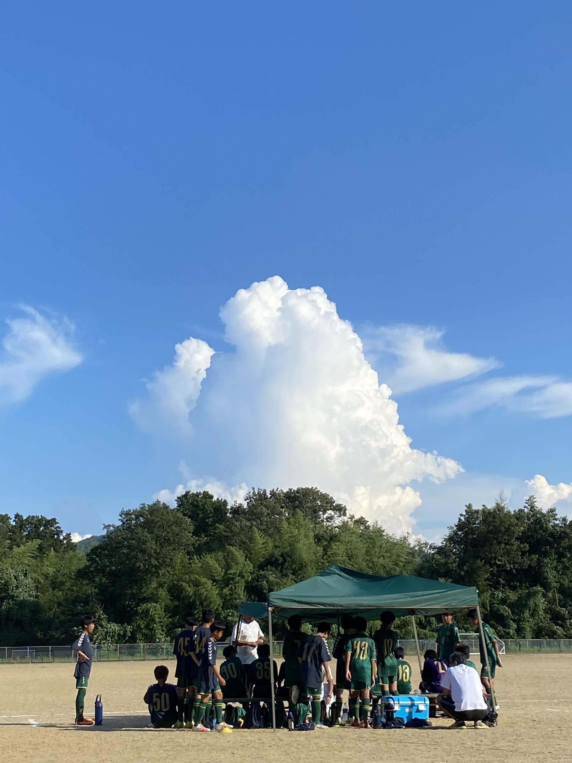 夏戦