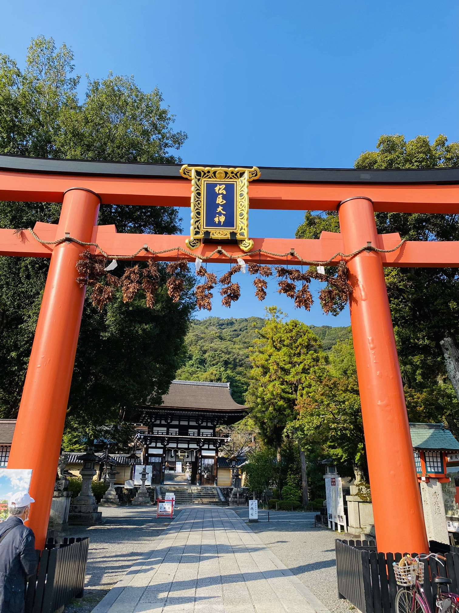青、緑、赤