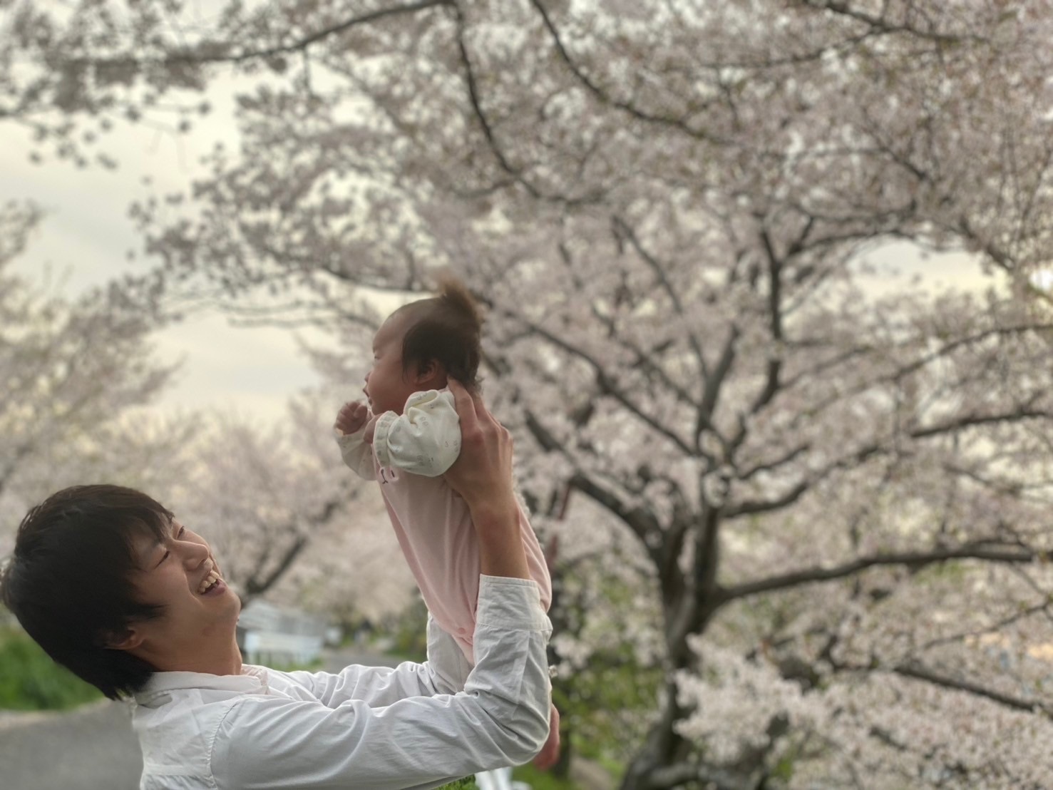 初めてのお花見