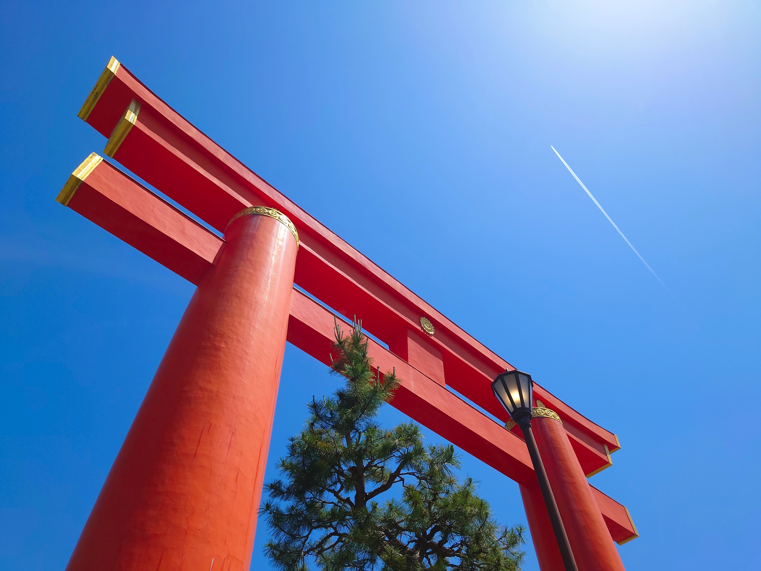 初夏の神社にて