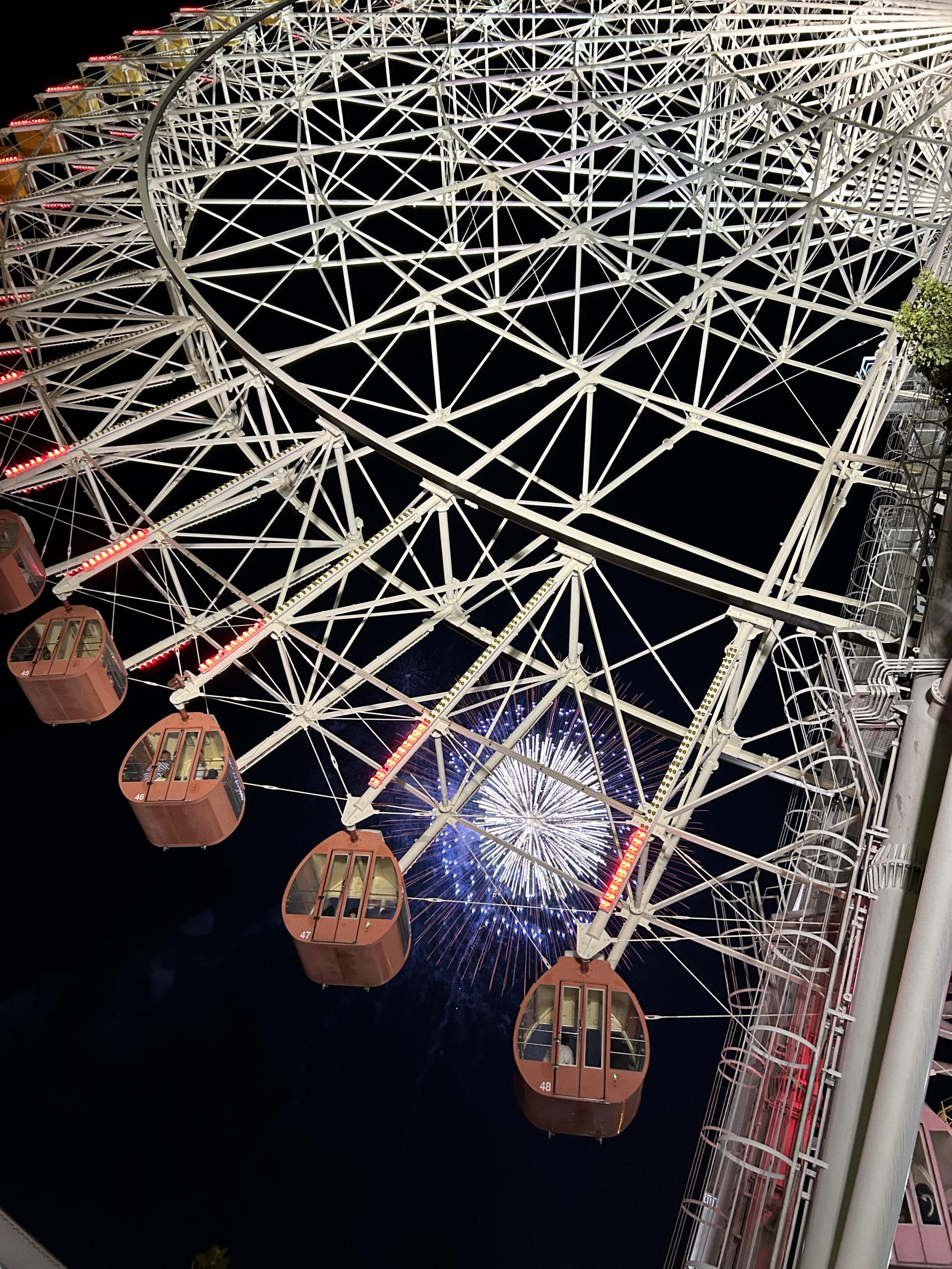 夜の遊園地