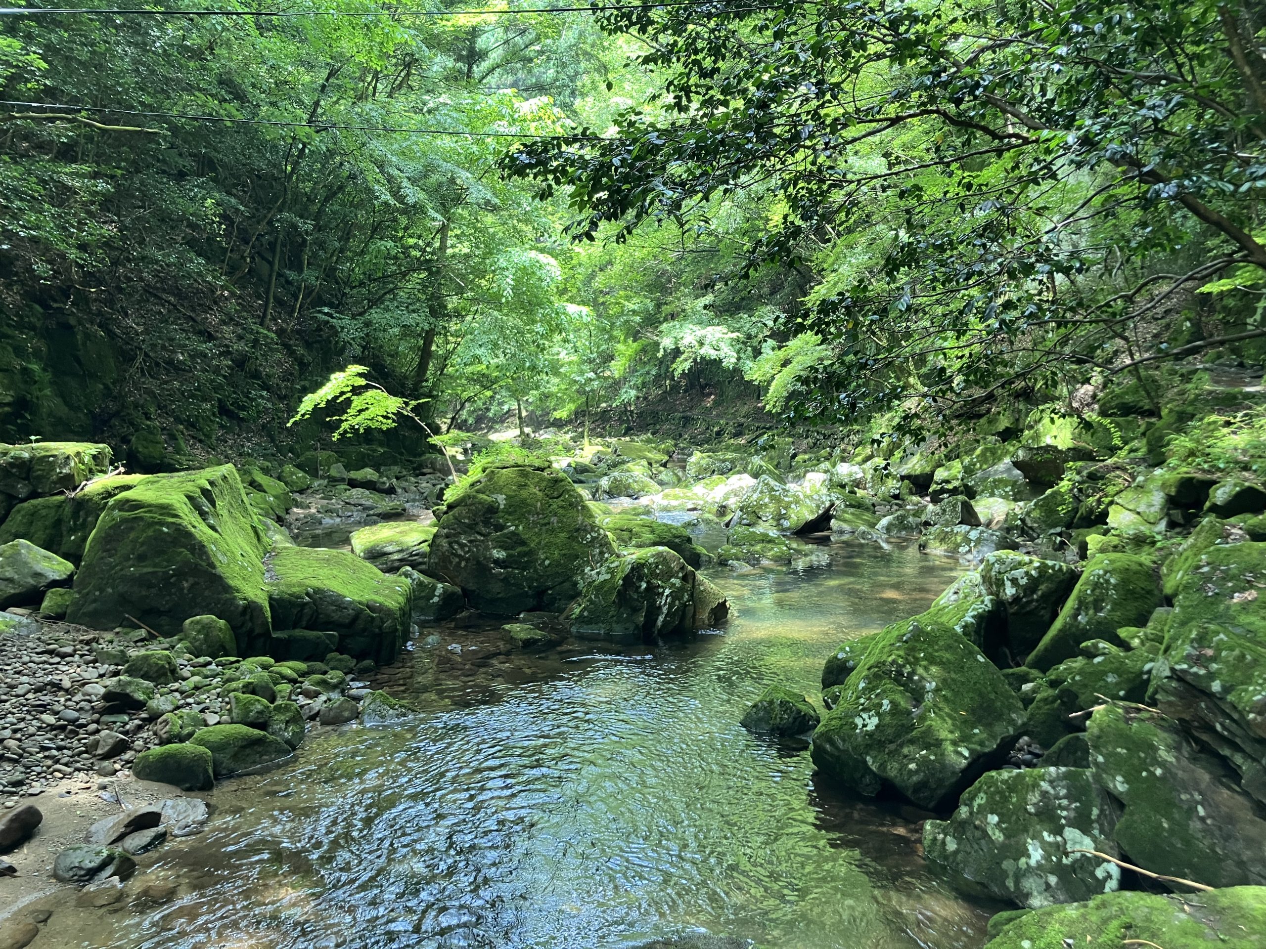 涼を求めて