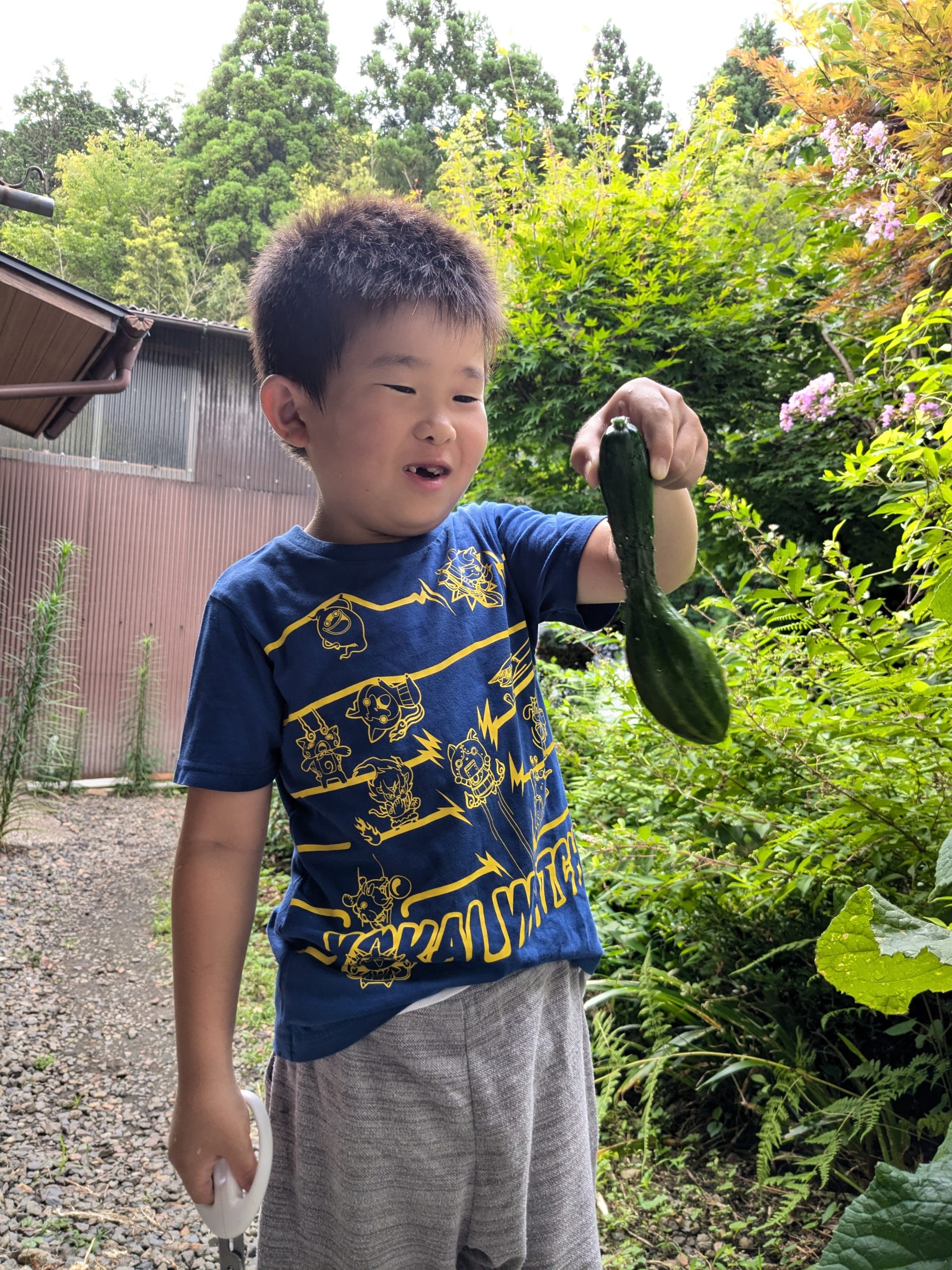 きゅうり　取ったぞ